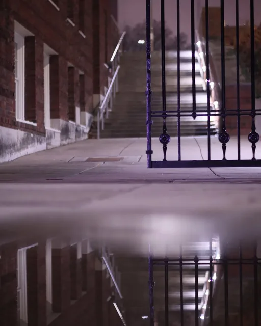 First time experimenting with reflections. The puddle was kinda small so I wasn't able to do too much with it, but the results are interesting either way.